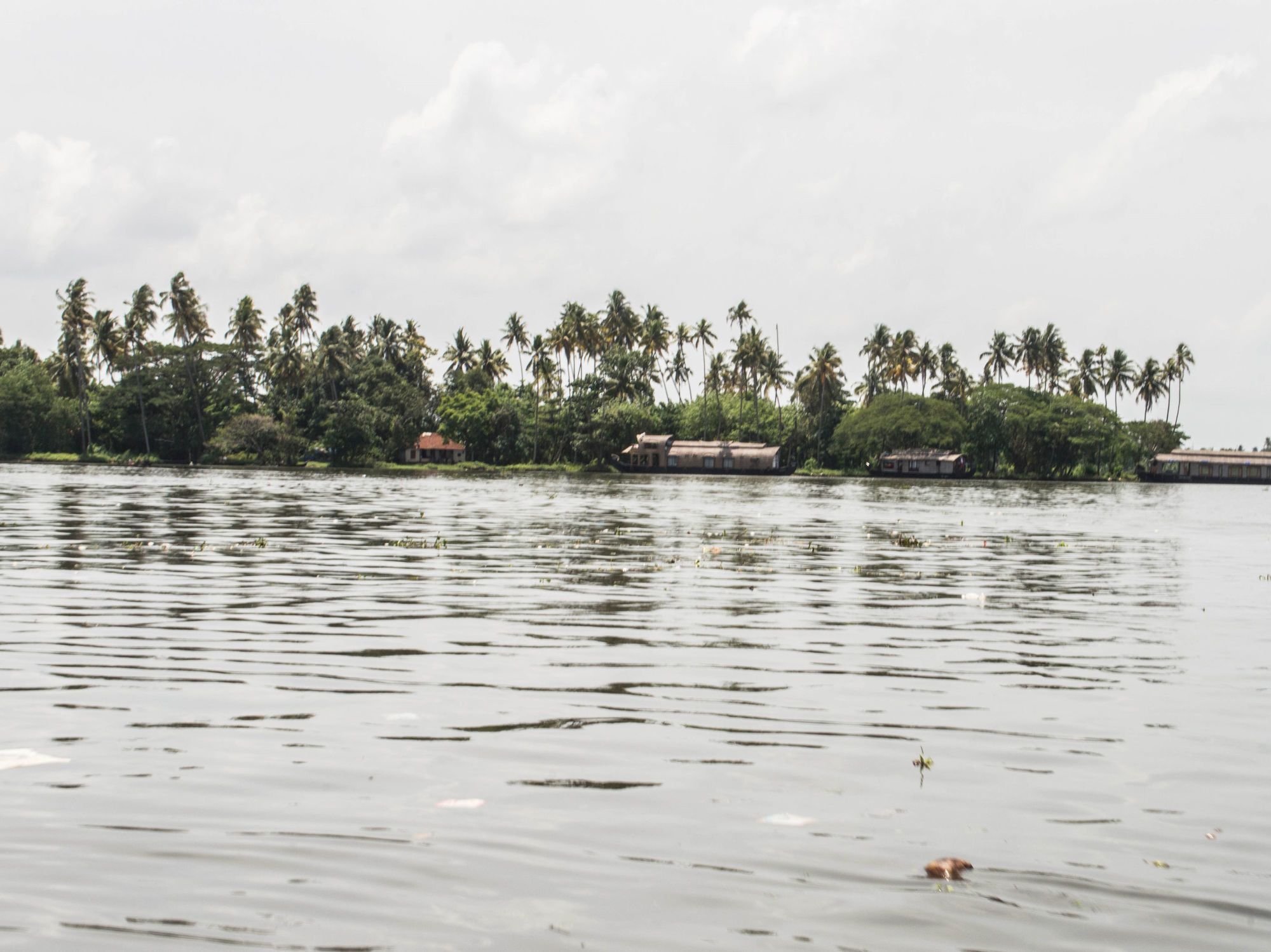 Oyo 5237 Island Lake Resort Alappuzha Ngoại thất bức ảnh